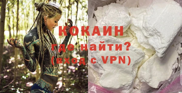 молекула духа Козловка
