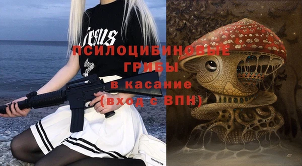 мет Ельня