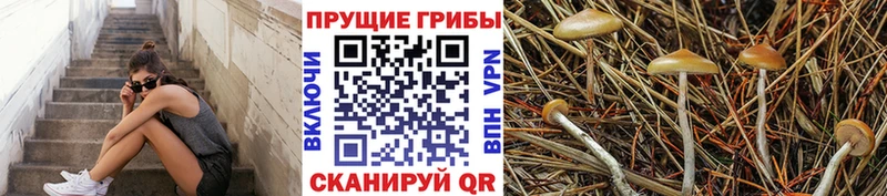 сколько стоит  Красноуральск  Галлюциногенные грибы Magic Shrooms 